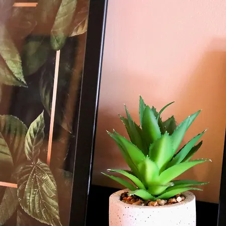 Green Cozy And Central 1bdrm Appartamento